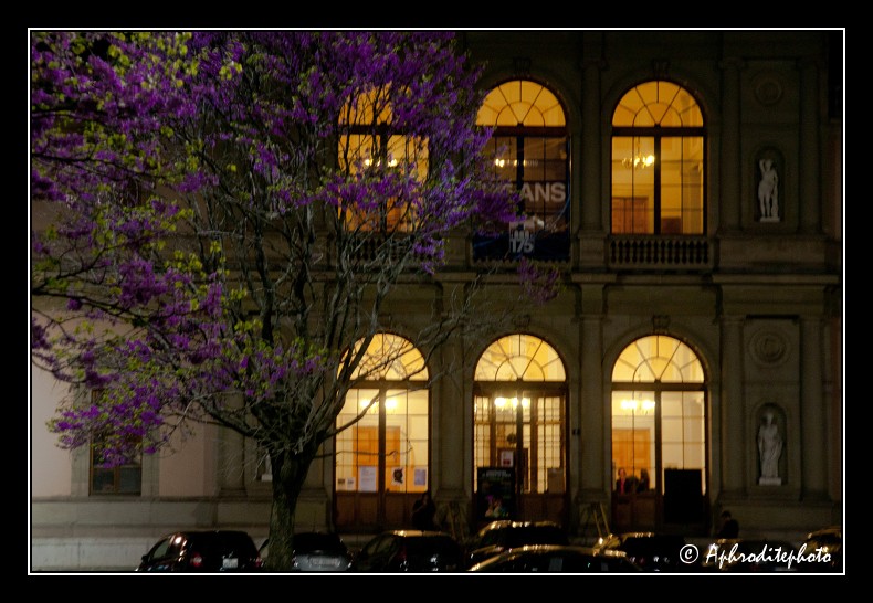 135 Le conservatoire de musique sur la place Neuve